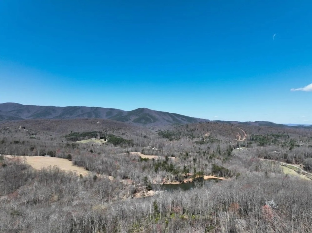 48.08 acres of Recreational Land for Sale in Patrick County VA featured image