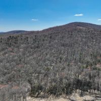 48.08 acres of Recreational Land for Sale in Patrick County VA images 2