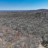 48.08 acres of Recreational Land for Sale in Patrick County VA images 5