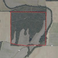 LA - West Carroll 160 acres -