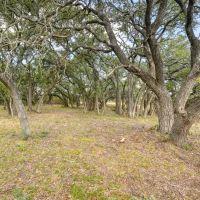 ROLLING OAKS RANCH 55 ACRES images 3
