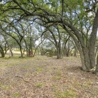 ROLLING OAKS RANCH 55 ACRES images 4