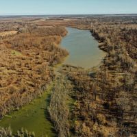 One Equity Share at Smith Point Hunting Club in Bolivar County MS images 3