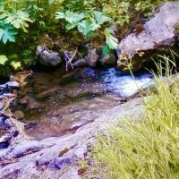 Box Canyon Beauty images 2