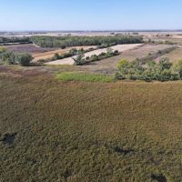 Exceptional Geese Duck Hunting Property - Harrison County Iowa images 3
