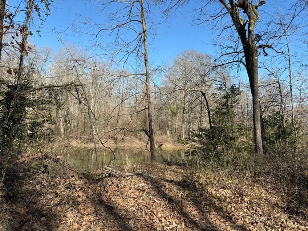 10 Acres in Grenada County MS featured image