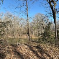 10 Acres in Grenada County MS