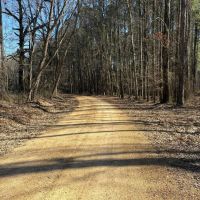 10 Acres in Grenada County MS images 3