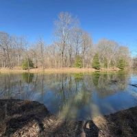 10 Acres in Grenada County MS images 4