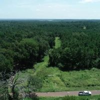 Tree covered acreage in Anderson Cty on paved road Tract 3