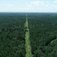 Tree covered acreage in Anderson Cty on paved road Tract 3 images 4