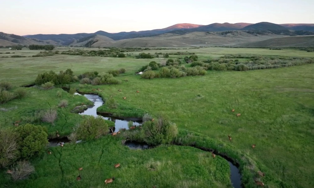 Elk Flats on Tomichi Creek featured image