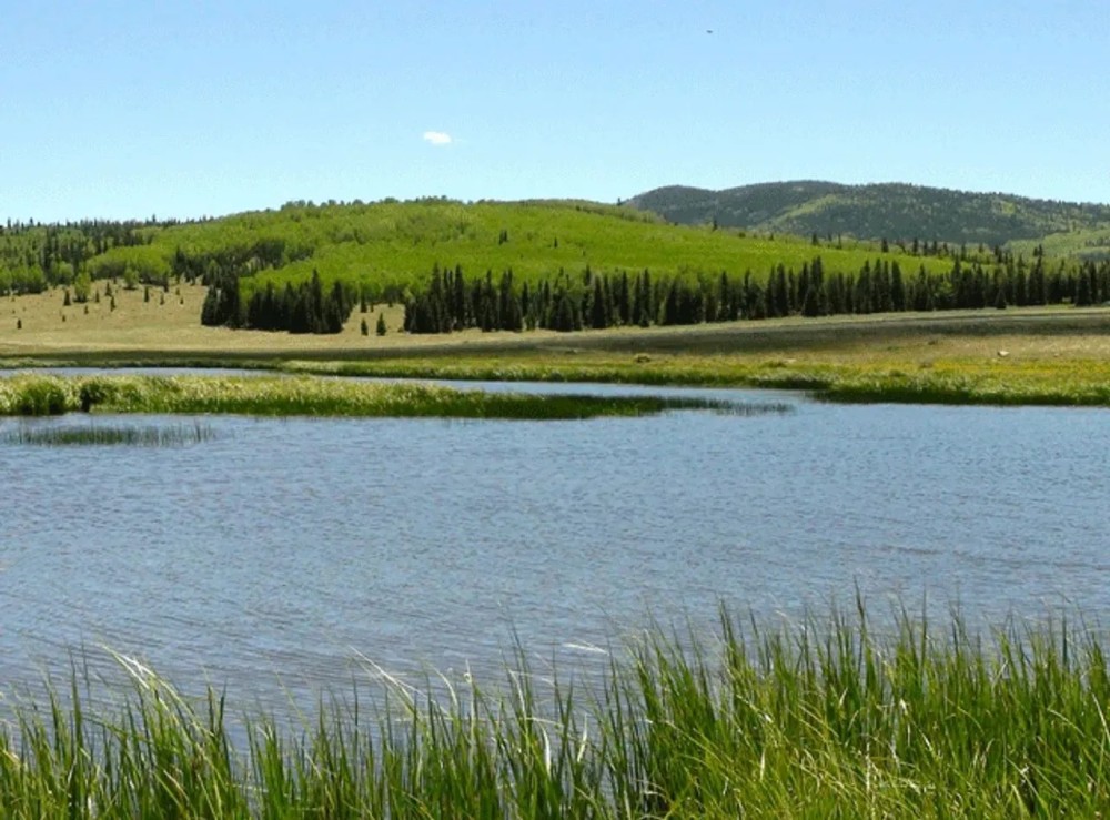 Arrowhead Alpine Ranch featured image