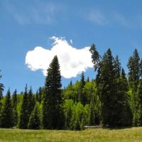Arrowhead Alpine Ranch images 2