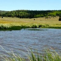 Arrowhead Alpine Ranch images 4