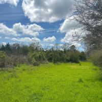 31.5 Acres With a Cabin in Lawrence County MS images 2