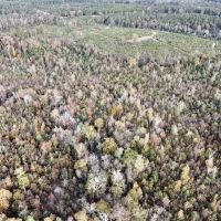 Greenville Pigeon Creek Joe Killough Road Tract images 3