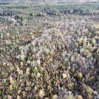 Greenville Pigeon Creek Joe Killough Road Tract images 4