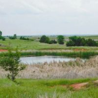 129 Acres Ponds Pasture Timber Building Tracts More images 1