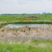 129 Acres Ponds Pasture Timber Building Tracts More images 2