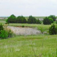 129 Acres Ponds Pasture Timber Building Tracts More images 3