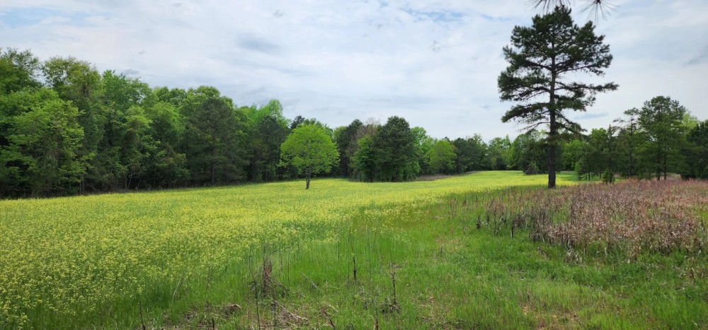 Secluded Hunter s Habitat featured image