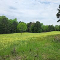 Secluded Hunter s Habitat