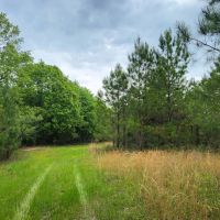 Secluded Hunter s Habitat images 2