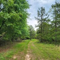 Secluded Hunter s Habitat images 3