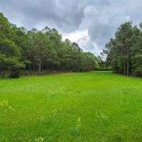 Secluded Hunter s Habitat images 4