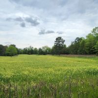 Secluded Hunter s Habitat images 5