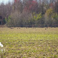 Black River Preserve 2 images 5