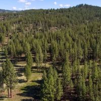 Ochoco Ranch images 4