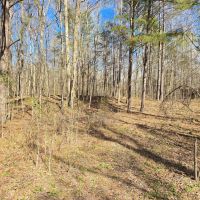 8 - Acres Recreational Property in Jefferson County MS