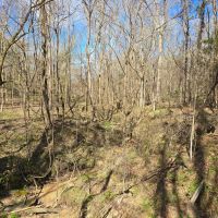 8 - Acres Recreational Property in Jefferson County MS images 2