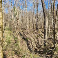 8 - Acres Recreational Property in Jefferson County MS images 5
