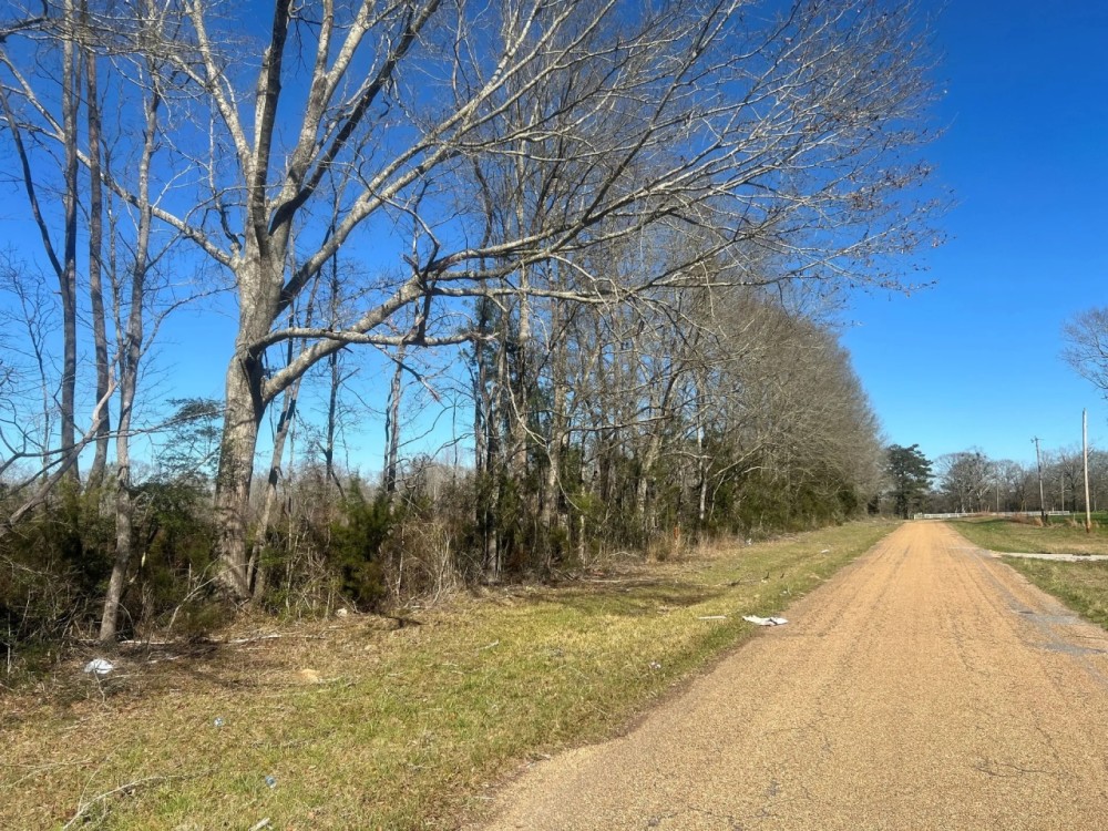 134 Acres Wilkinson County MS featured image