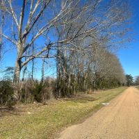134 Acres Wilkinson County MS