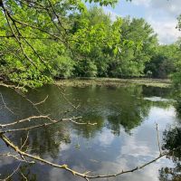 Annual Hunting Lease NE Texas Rox 100