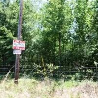 Harris - 304 ac - Perry County Hunting tract images 2