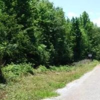 Harris - 304 ac - Perry County Hunting tract images 4