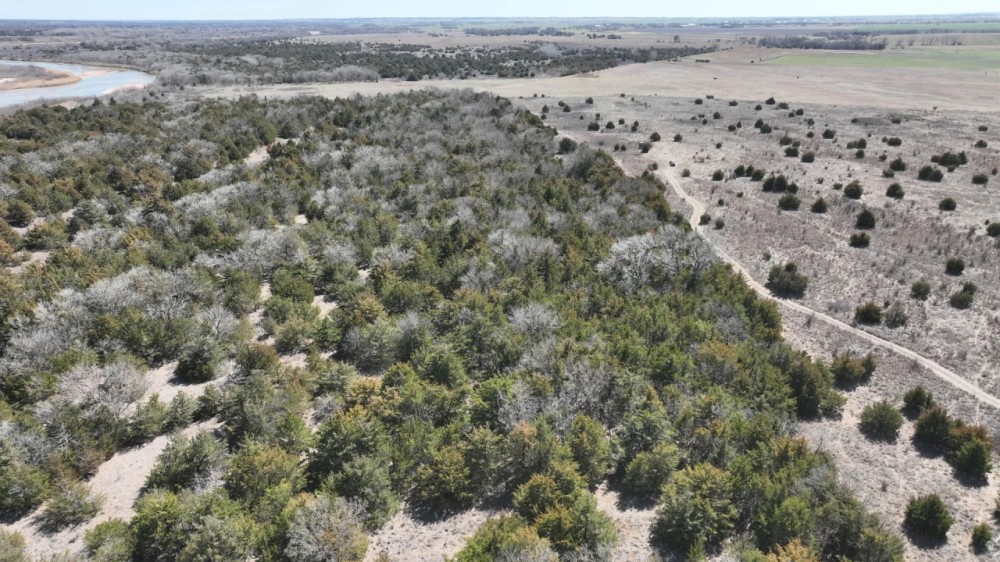 241.84 Acres Fairview Area - River Frontage Timber Hunting More featured image