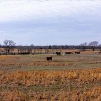 80 E 540 Locust Grove OK 74352 images 2