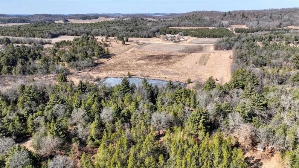 Premier Hunting and Recreational Property in Monroe County featured image