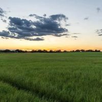 21780 FM 2156 Dublin Texas 76446 images 5