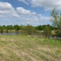 NE Texas Annual Hunting Lease