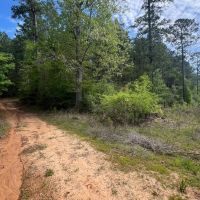 60 Acre Jackson Parish Timberland Hunting Property images 2