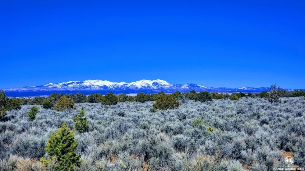 Cinder Gulch Ranch featured image