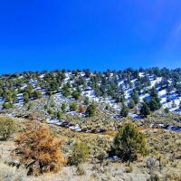 Cinder Gulch Ranch images 4