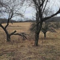 Farmhouse on 35 Country Acres with Outbuildings in Smyrna NY 1348 State Highway 80 images 3